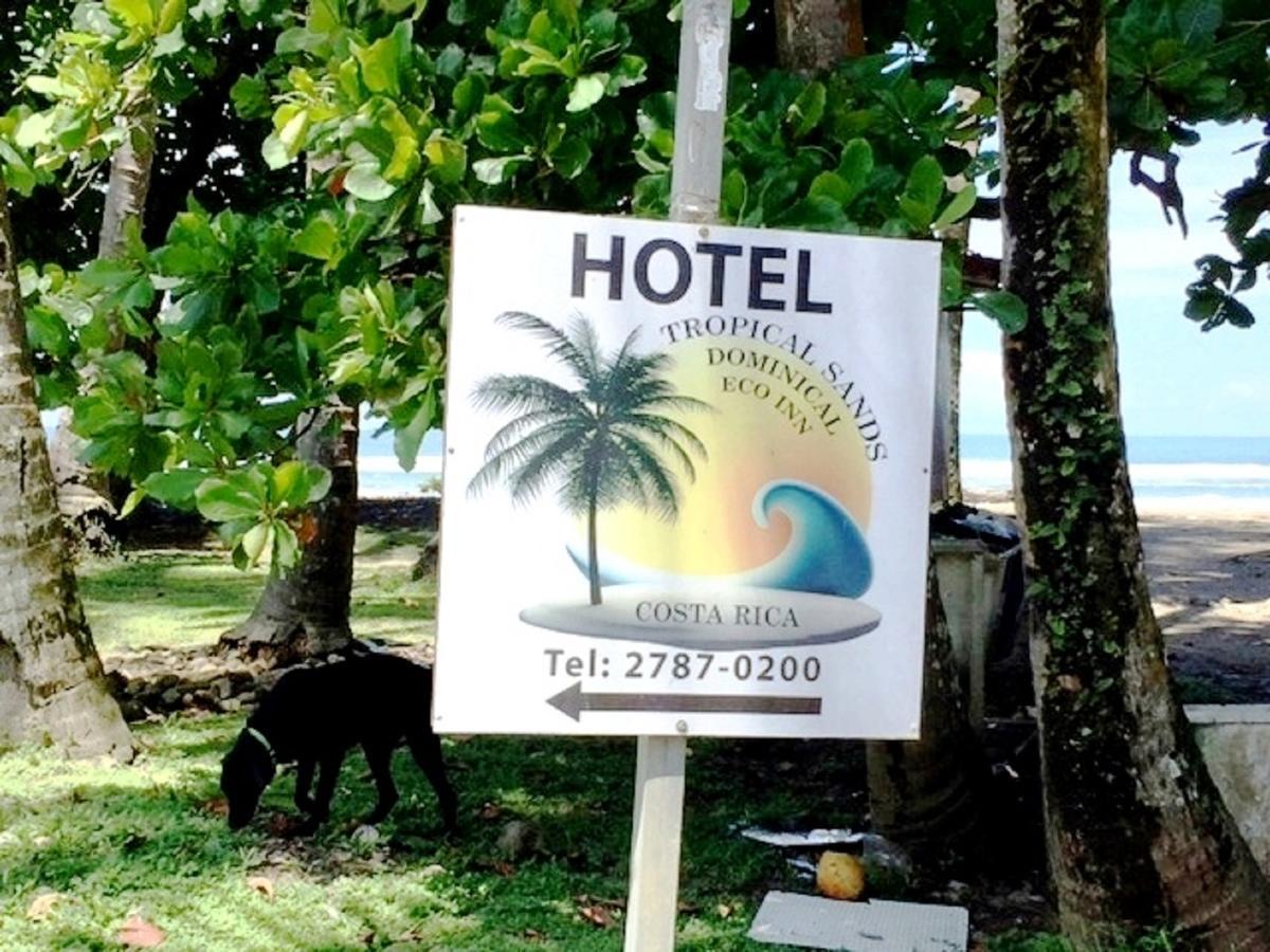 Tropical Sands Dominical